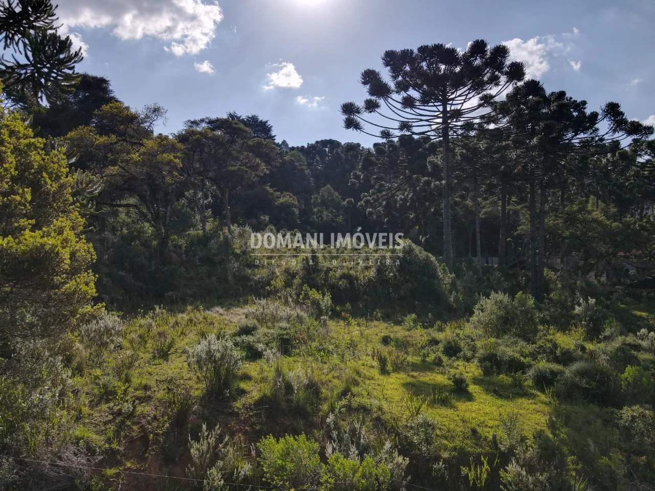 Terreno à venda de 6.080 m² em Campos do Jordão, SP, Brasil