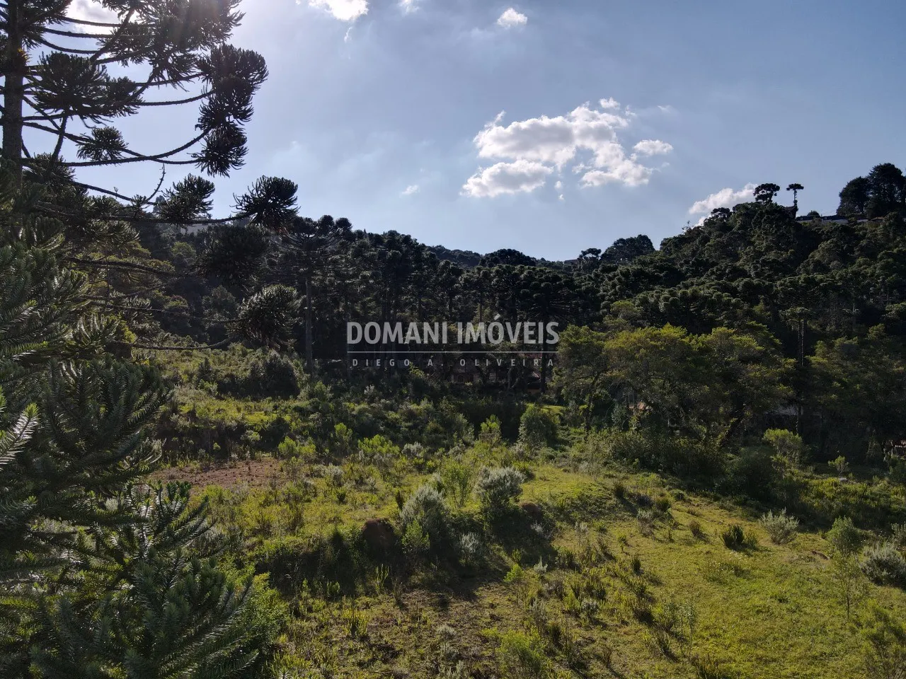 Terreno à venda de 6.080 m² em Campos do Jordão, SP, Brasil