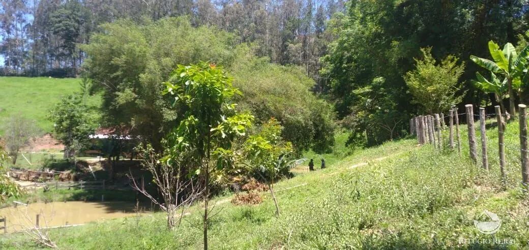 Sítio à venda de 3 ha em Monteiro Lobato, SP, Brasil
