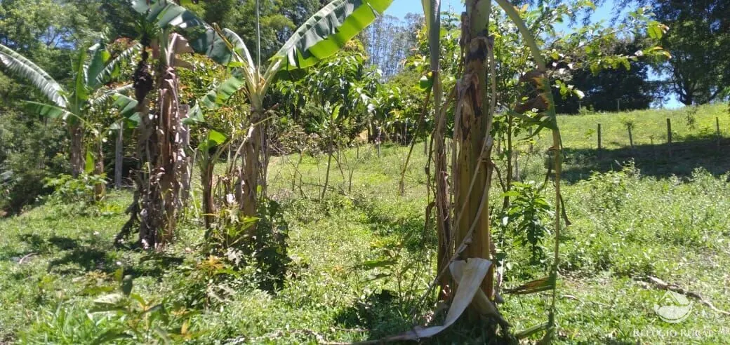 Sítio à venda de 3 ha em Monteiro Lobato, SP, Brasil