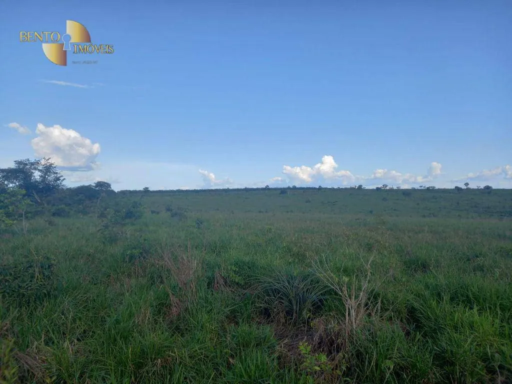 Fazenda à venda de 5.000 ha em Paranatinga, MT, Brasil