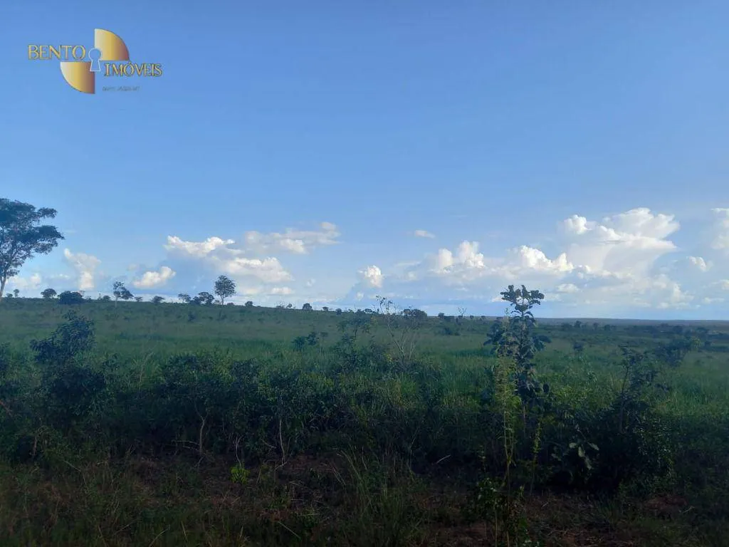 Farm for sale of 12,355 acres in Paranatinga, MT, Brazil