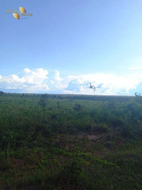 Farm for sale of 12,355 acres in Paranatinga, MT, Brazil