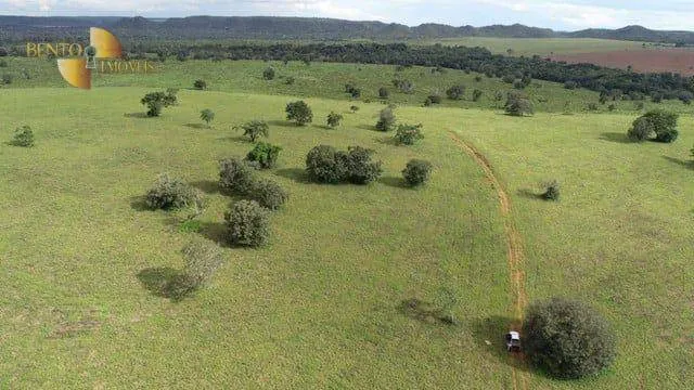 Fazenda à venda de 470 ha em Dom Aquino, MT, Brasil