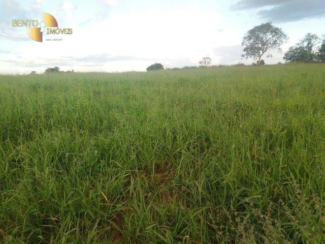 Fazenda à venda de 470 ha em Dom Aquino, MT, Brasil