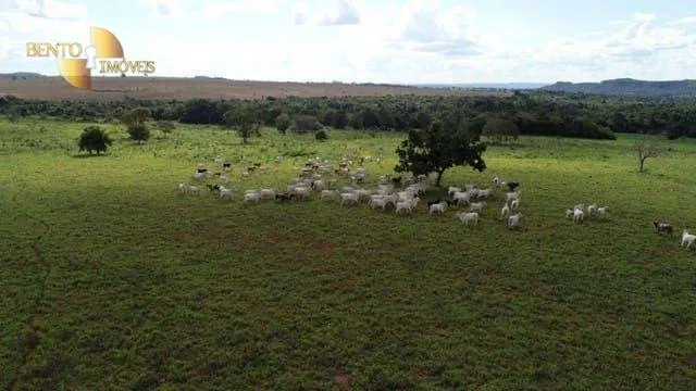 Fazenda à venda de 470 ha em Dom Aquino, MT, Brasil