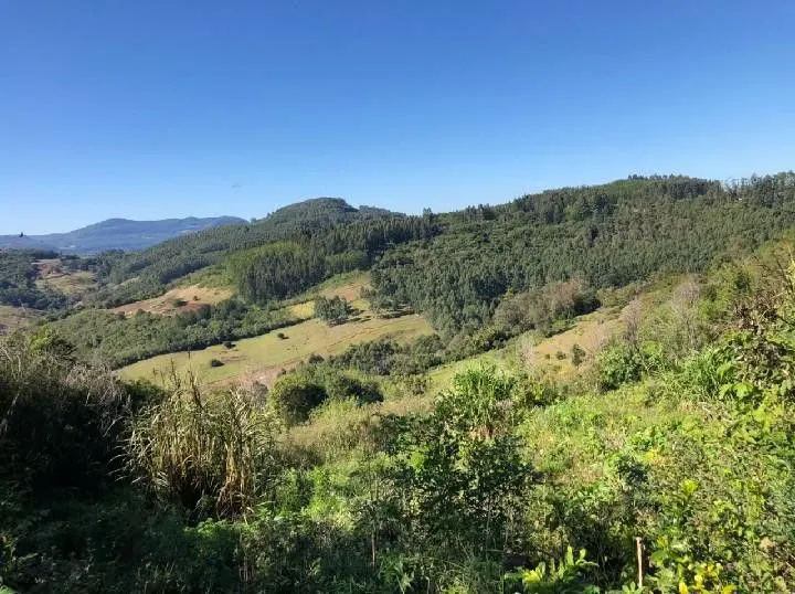 Chácara à venda de 1 ha em Rolante, RS, Brasil