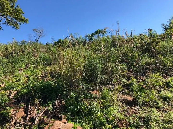 Chácara à venda de 1 ha em Rolante, RS, Brasil