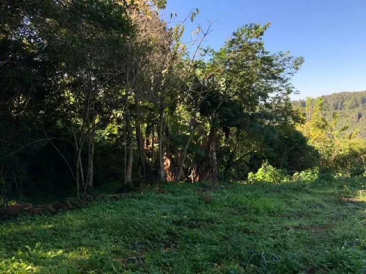 Chácara à venda de 1 ha em Rolante, RS, Brasil