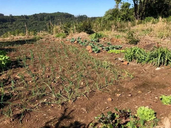 Chácara à venda de 1 ha em Rolante, RS, Brasil