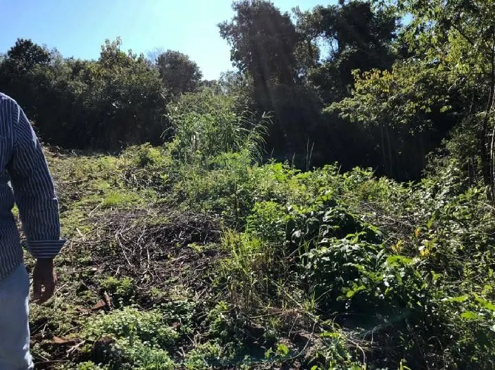 Chácara à venda de 1 ha em Rolante, RS, Brasil