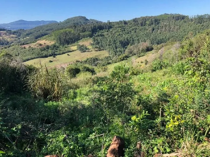 Chácara à venda de 1 ha em Rolante, RS, Brasil