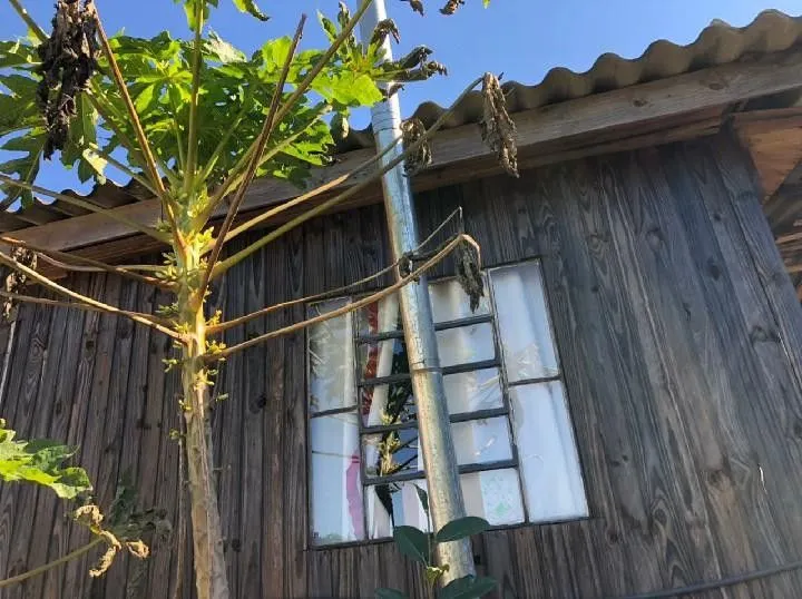 Chácara à venda de 1 ha em Rolante, RS, Brasil