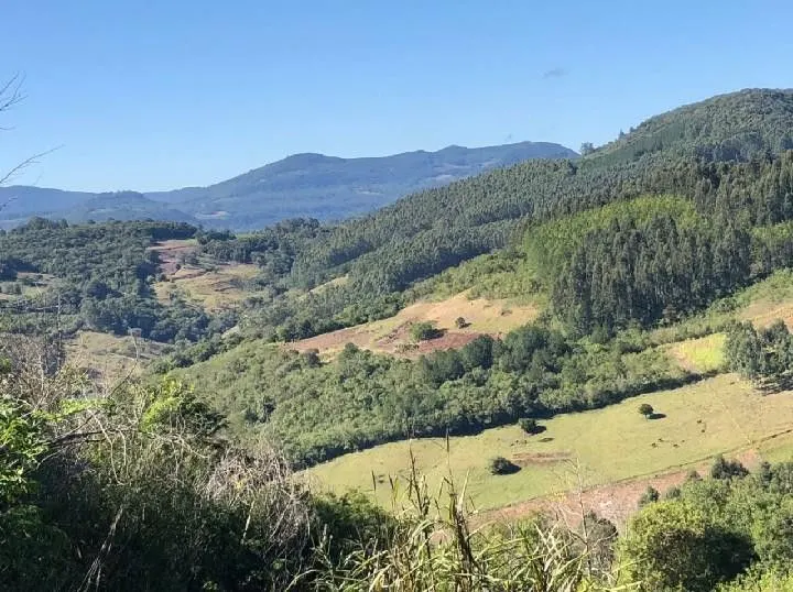 Chácara à venda de 1 ha em Rolante, RS, Brasil