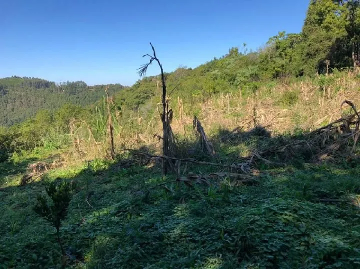 Chácara à venda de 1 ha em Rolante, RS, Brasil