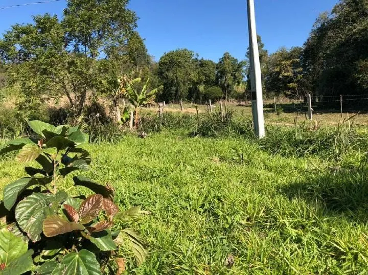Chácara à venda de 1 ha em Rolante, RS, Brasil
