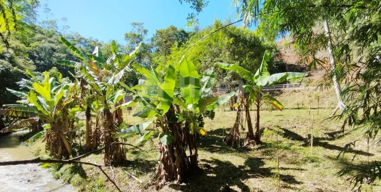 Chácara à venda de 3 ha em Nova Trento, SC, Brasil