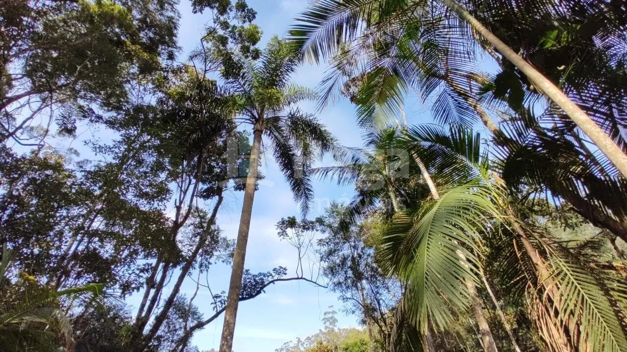 Chácara à venda de 3 ha em Nova Trento, SC, Brasil