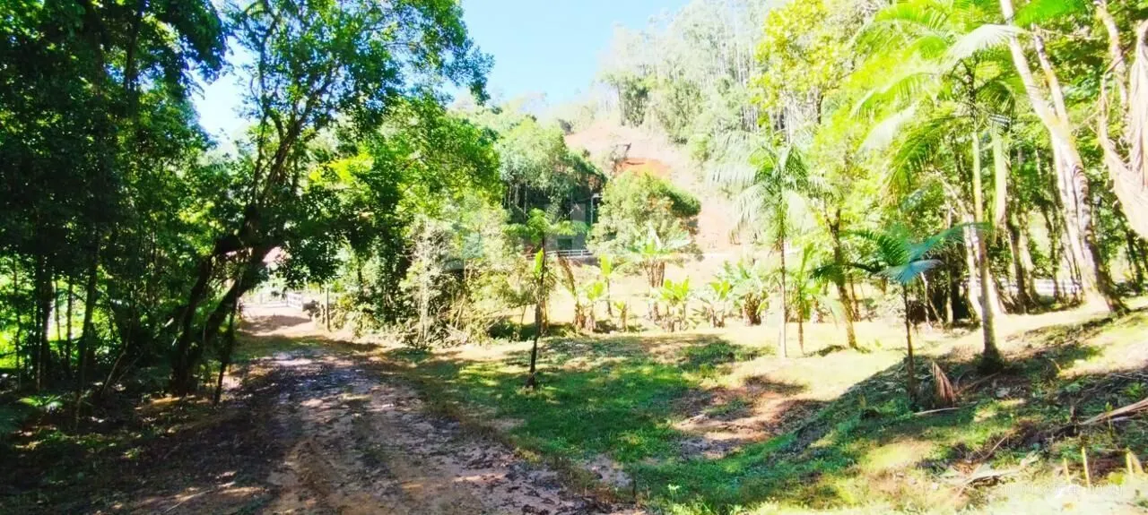 Chácara à venda de 3 ha em Nova Trento, SC, Brasil