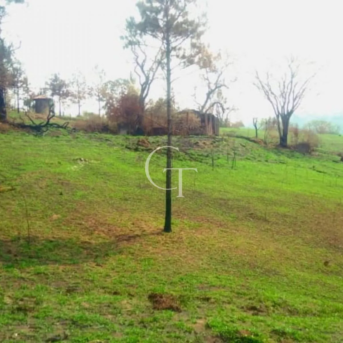 Sítio à venda de 14 ha em Itu, SP, Brasil