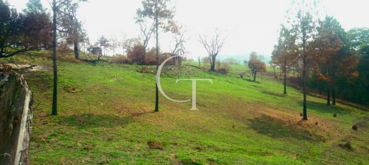 Sítio à venda de 14 ha em Itu, SP, Brasil
