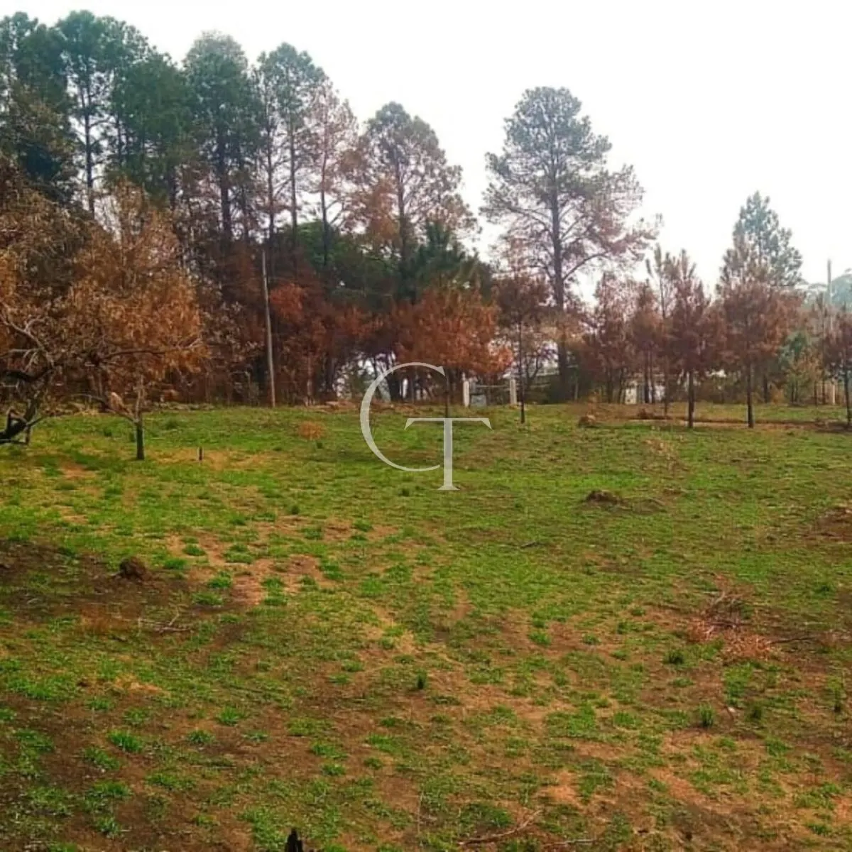 Sítio à venda de 14 ha em Itu, SP, Brasil