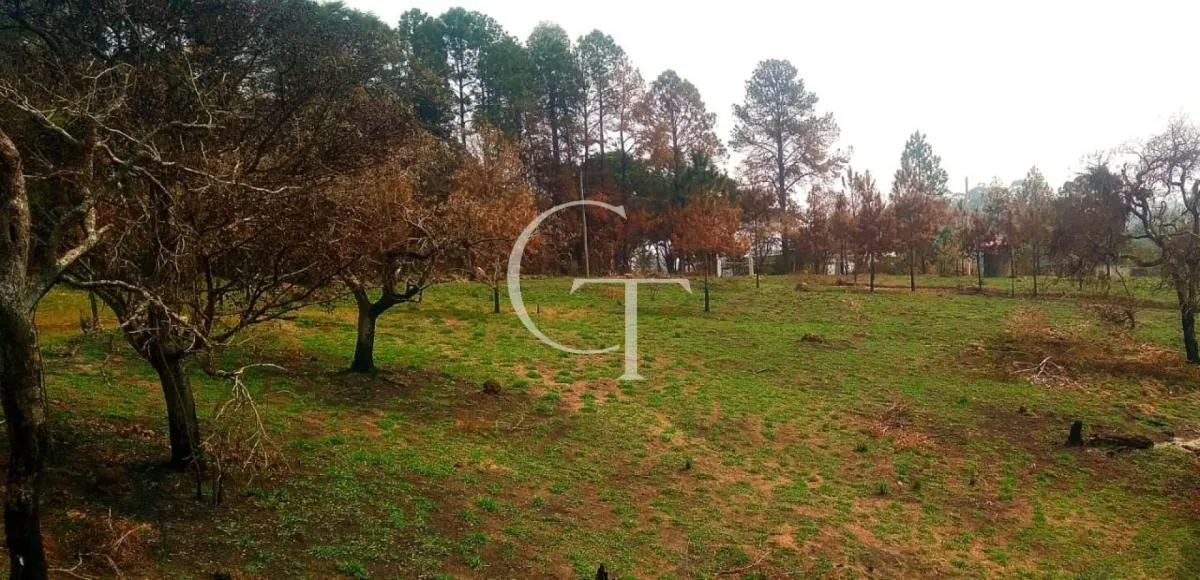 Sítio à venda de 14 ha em Itu, SP, Brasil