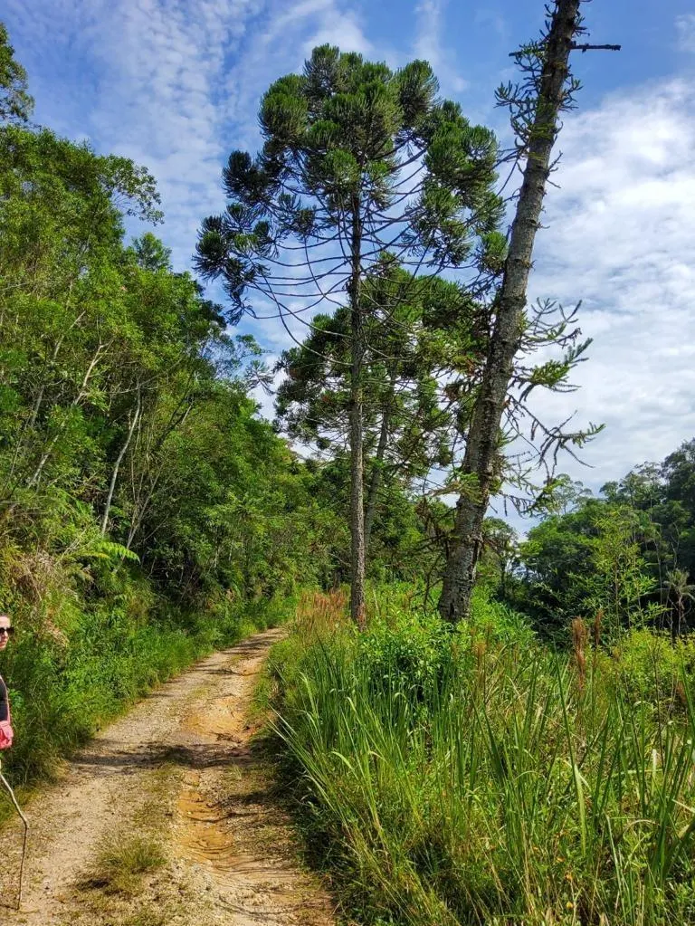Small farm for sale of 15 acres in Pedro de Toledo, SP, Brazil