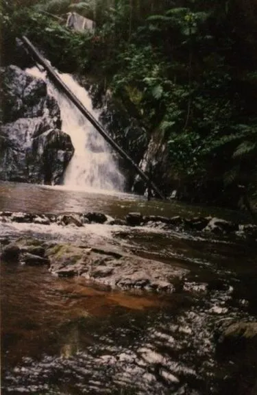 Small farm for sale of 15 acres in Pedro de Toledo, SP, Brazil