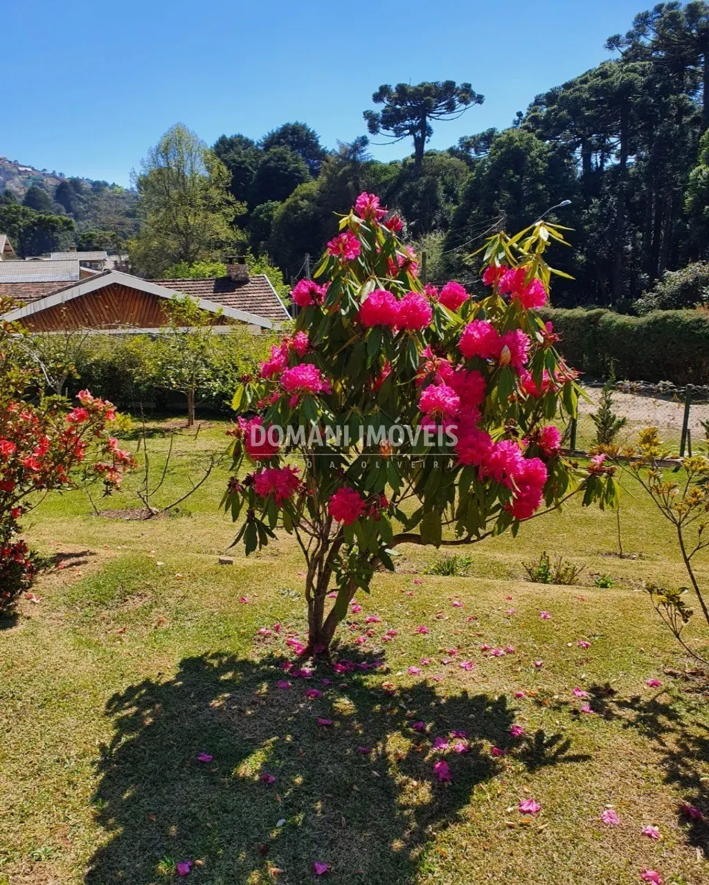 Casa à venda de 2.050 m² em Campos do Jordão, SP, Brasil