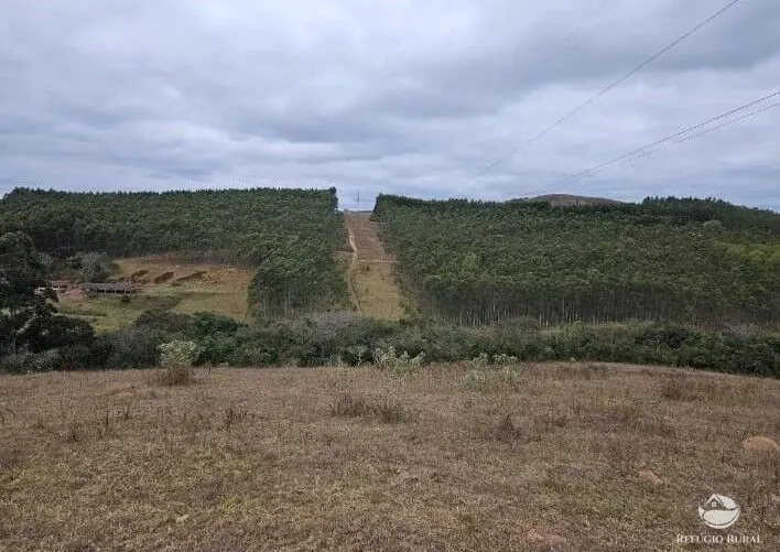 Fazenda à venda de 226 ha em São Vicente de Minas, MG, Brasil