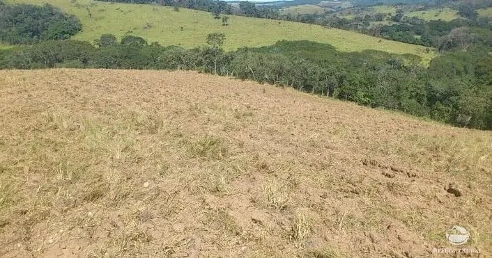 Fazenda à venda de 226 ha em São Vicente de Minas, MG, Brasil