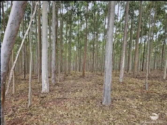 Fazenda à venda de 226 ha em São Vicente de Minas, MG, Brasil