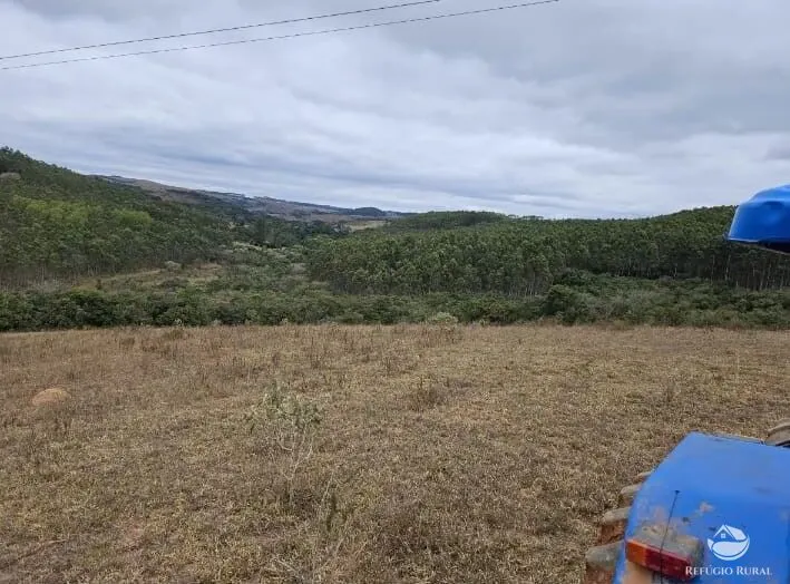 Fazenda à venda de 226 ha em São Vicente de Minas, MG, Brasil
