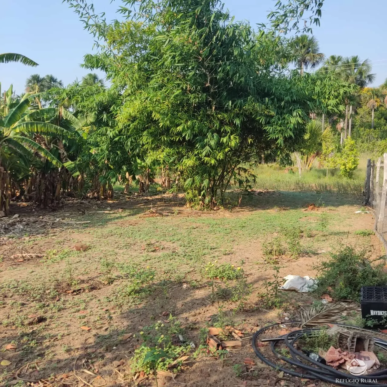 Fazenda à venda de 152 ha em Loreto, MA, Brasil