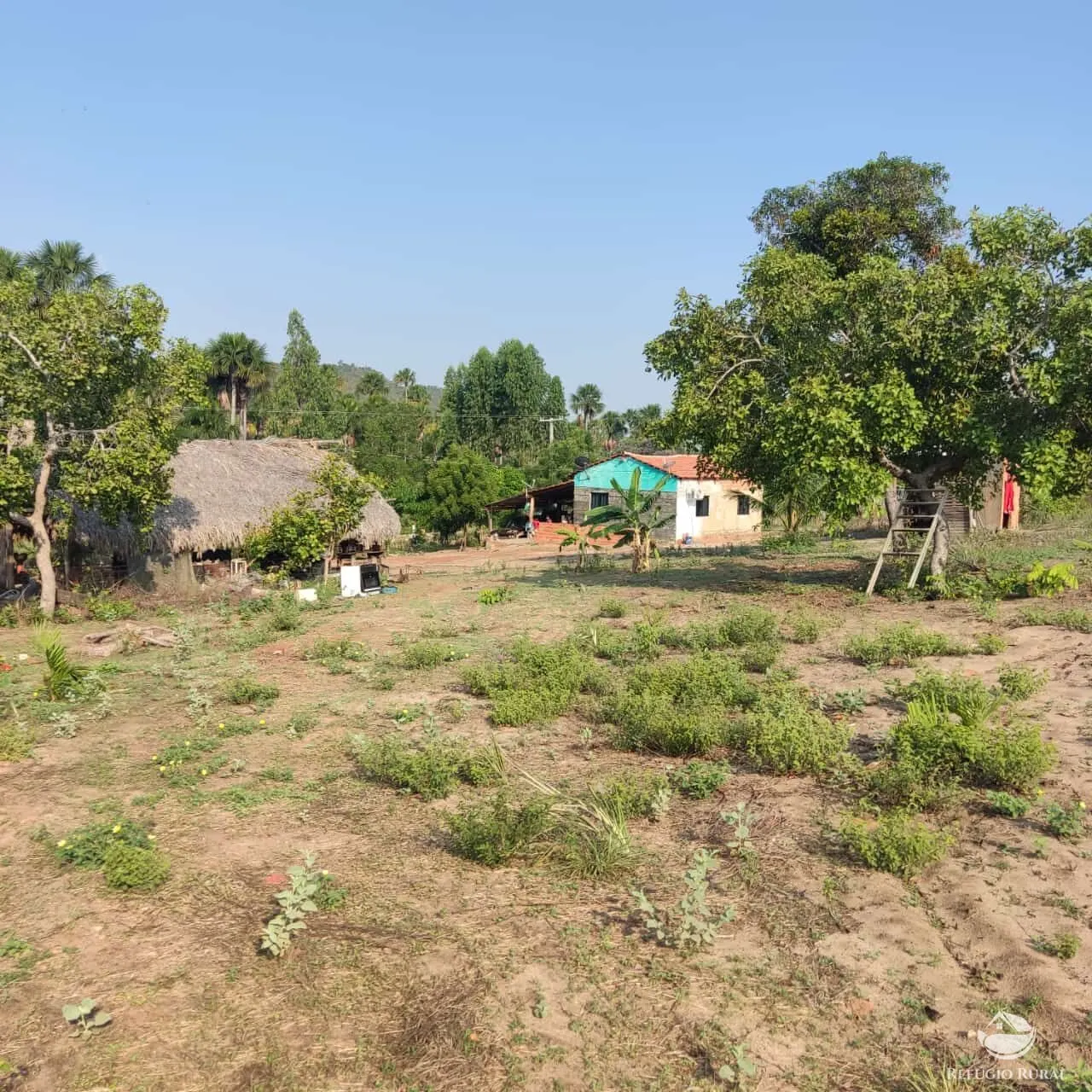 Fazenda à venda de 152 ha em Loreto, MA, Brasil