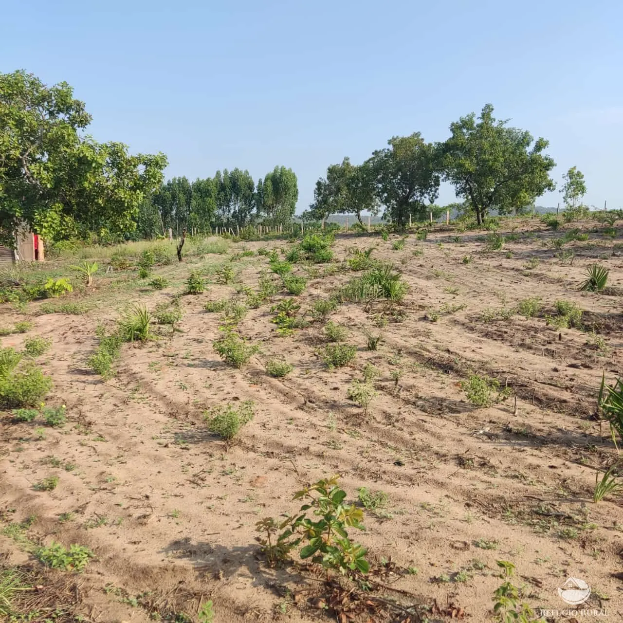 Fazenda à venda de 152 ha em Loreto, MA, Brasil