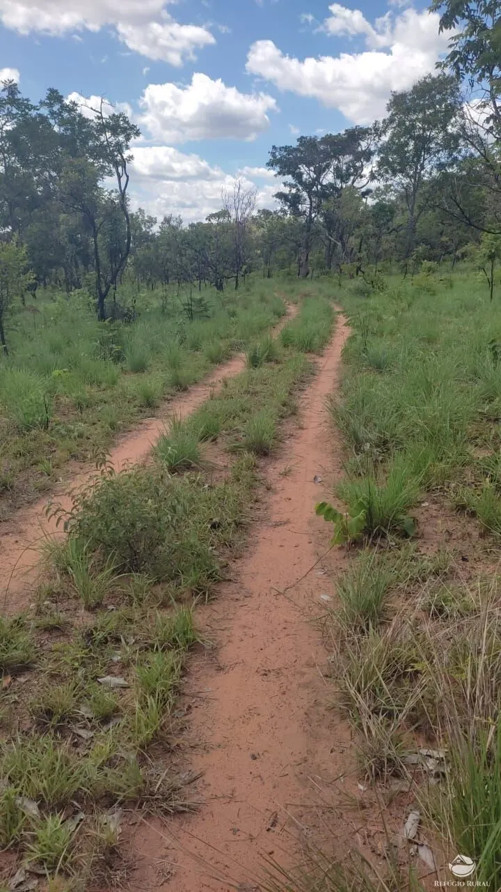 Fazenda à venda de 152 ha em Loreto, MA, Brasil