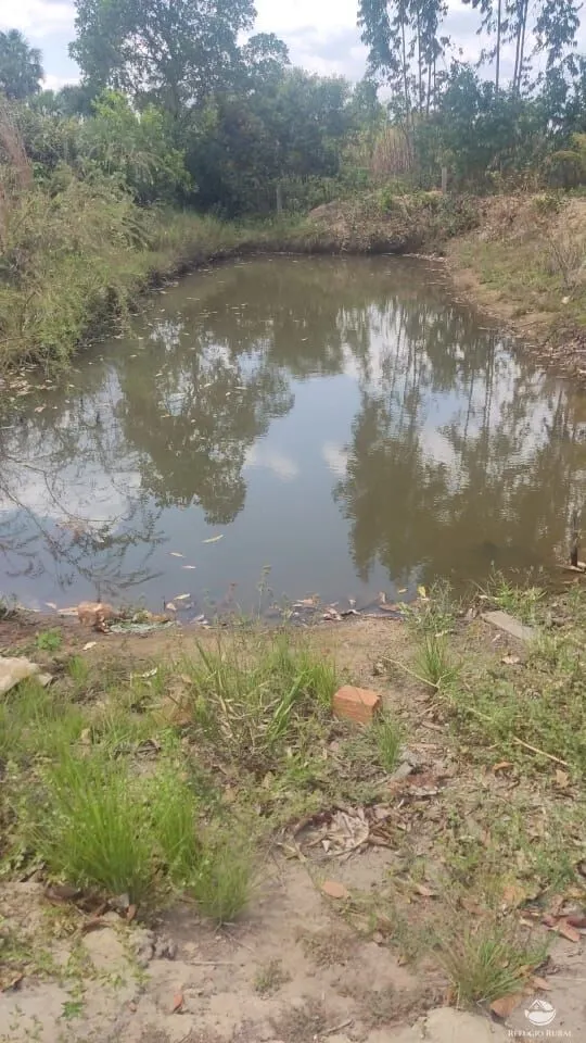 Fazenda à venda de 152 ha em Loreto, MA, Brasil