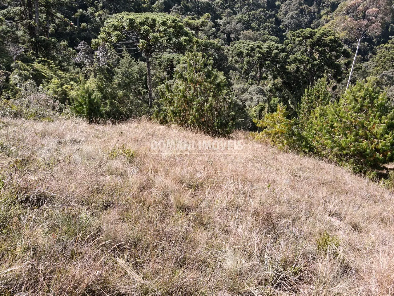 Plot for sale of 1,110 m² in Campos do Jordão, SP, Brazil