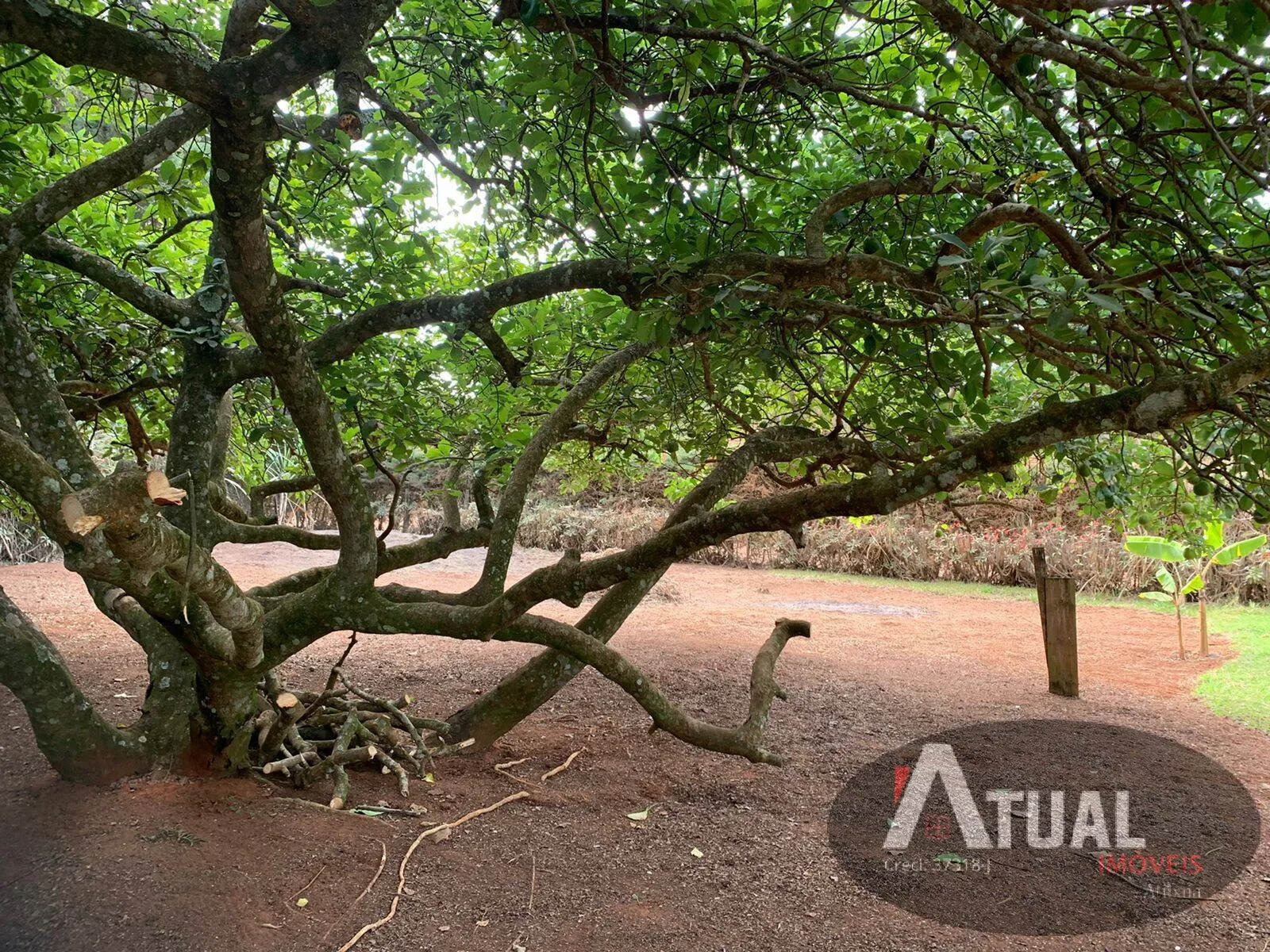 Country home for sale of 5 acres in Jarinu, SP, Brazil