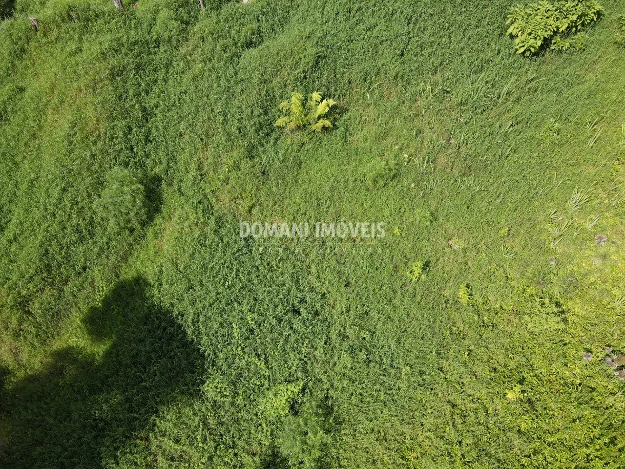 Terreno à venda de 1.350 m² em Campos do Jordão, SP, Brasil