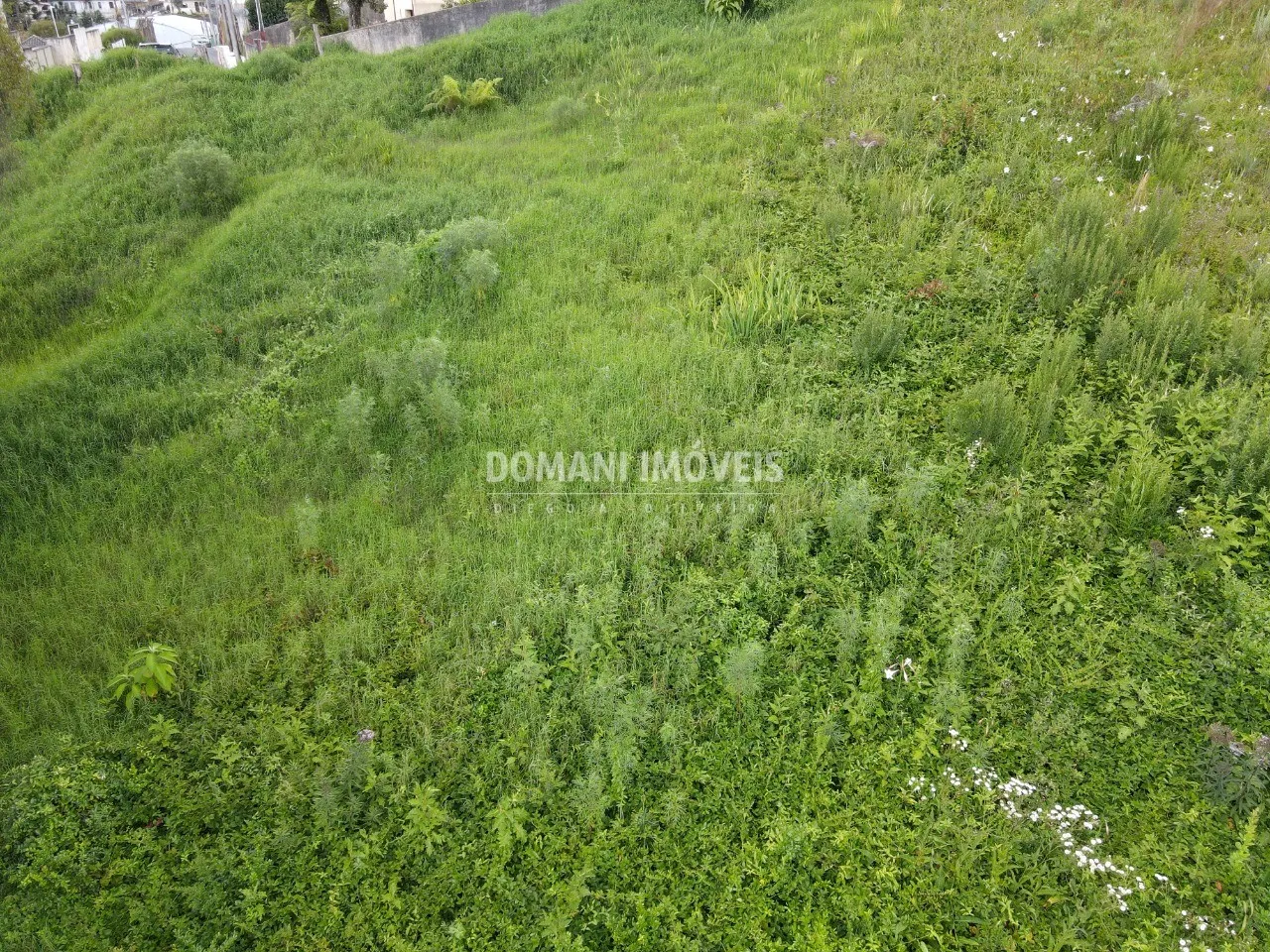 Terreno à venda de 1.350 m² em Campos do Jordão, SP, Brasil