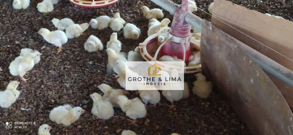 Sítio à venda de 5 ha em Piracicaba, SP, Brasil