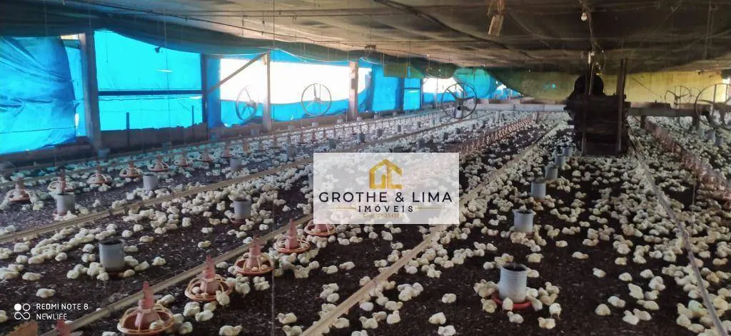 Sítio à venda de 5 ha em Piracicaba, SP, Brasil