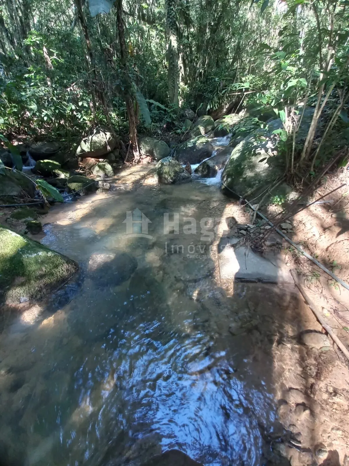 Chácara à venda de 5.000 m² em Canelinha, SC, Brasil