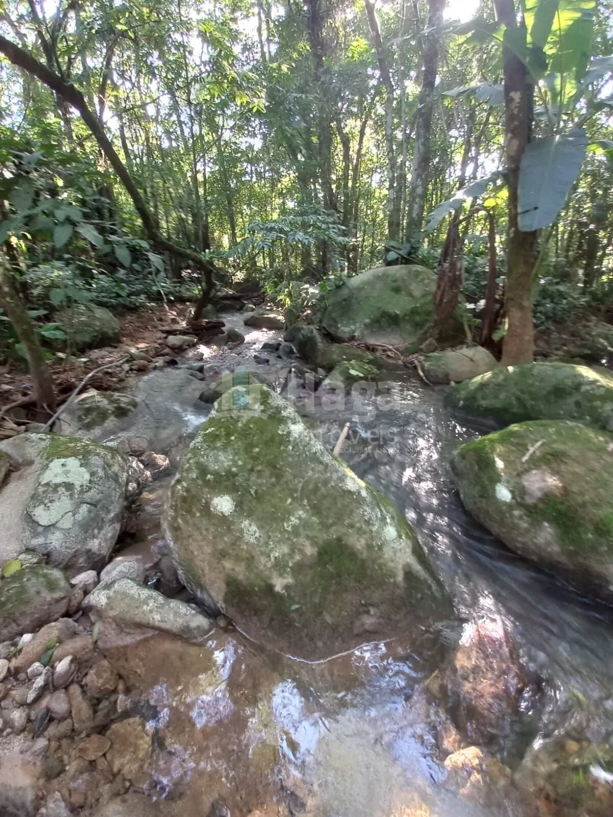 Chácara à venda de 5.000 m² em Canelinha, SC, Brasil