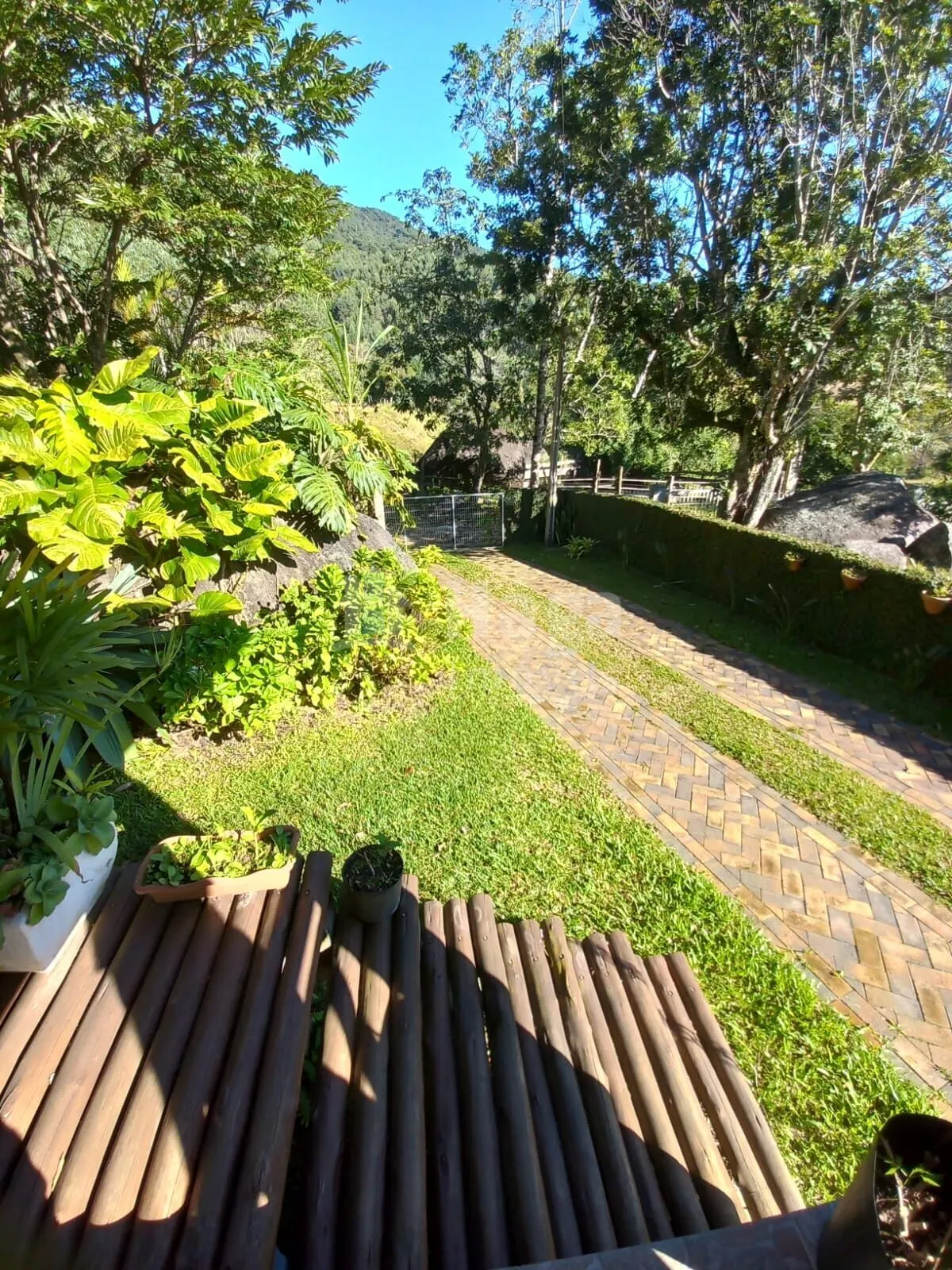 Chácara à venda de 5.000 m² em Canelinha, SC, Brasil
