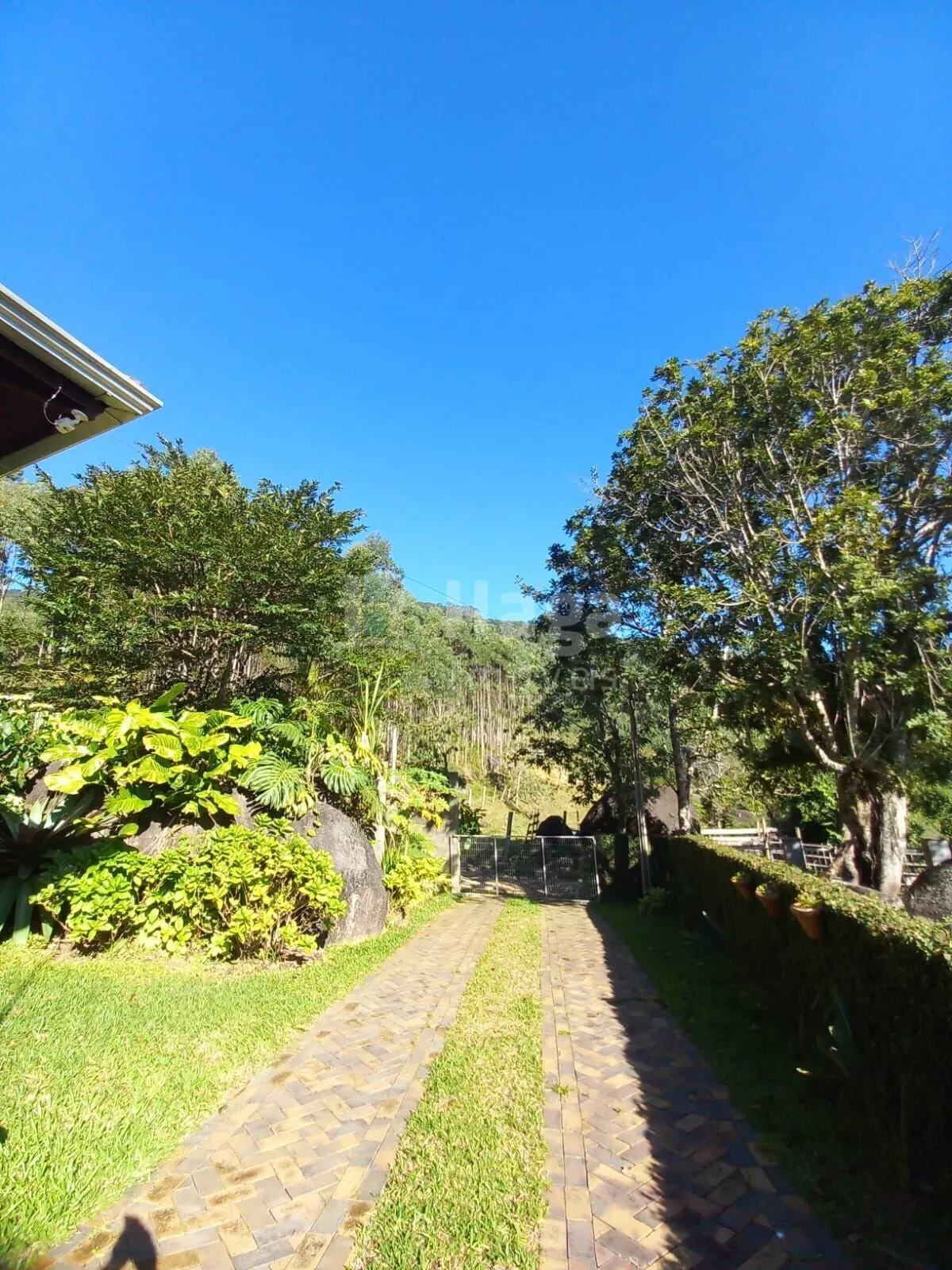 Chácara à venda de 5.000 m² em Canelinha, SC, Brasil