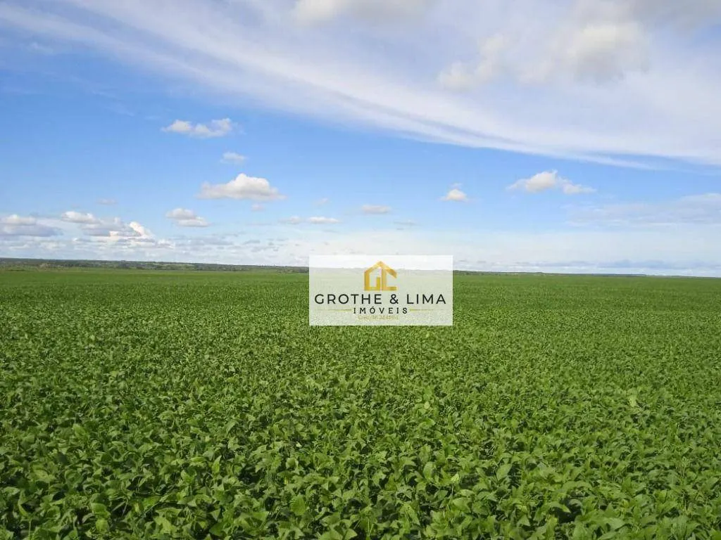 Fazenda à venda de 2.118 ha em Formoso do Araguaia, TO, Brasil